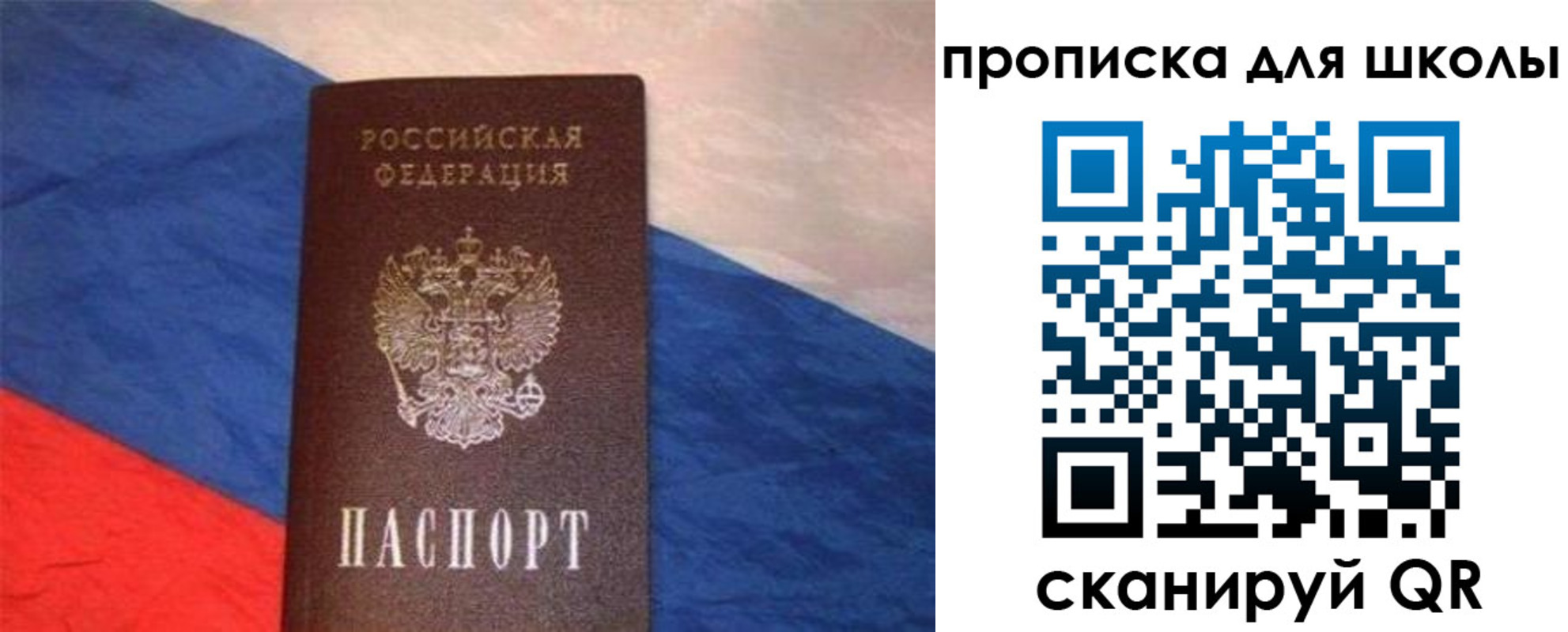 прописка поиск в Красном Куте